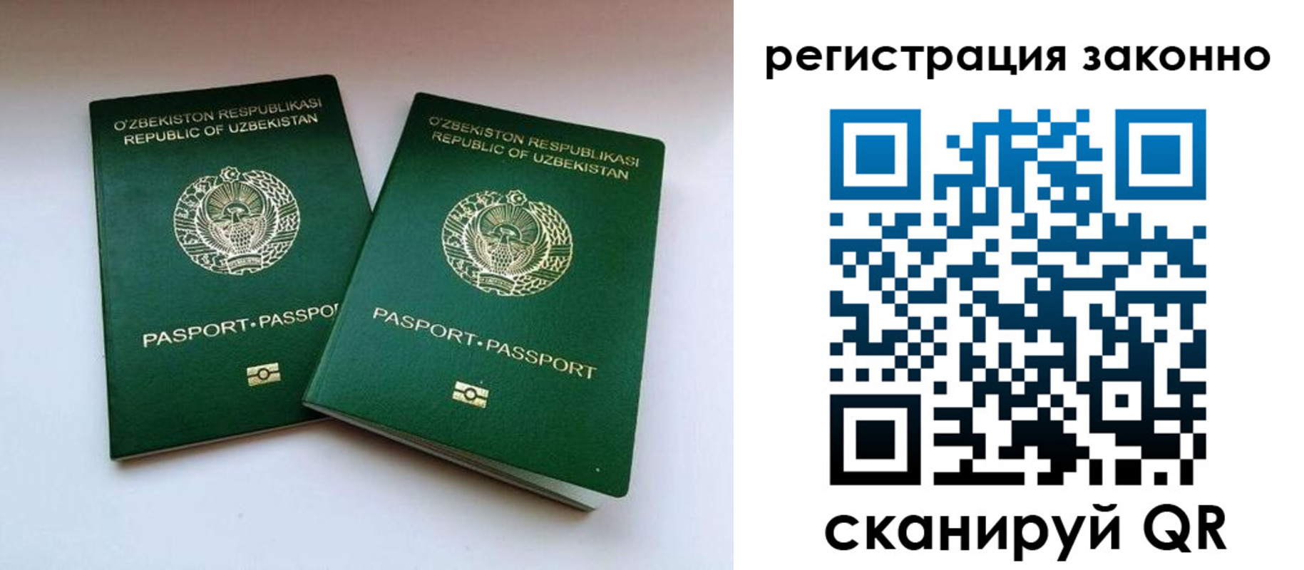 прописка гарантия в Лесном